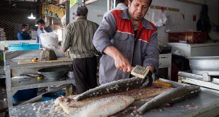 قیمت عمده ماهی هوور در تهران
